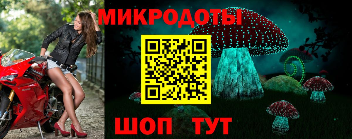 Галлюциногенные грибы Psilocybe Брянск