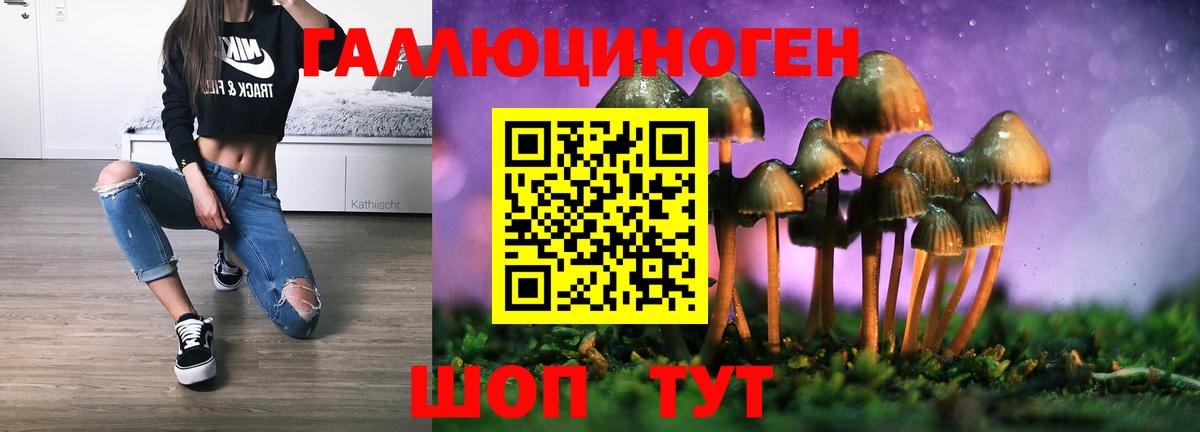 Псилоцибиновые грибы MAGIC MUSHROOMS  Вход с VPN  Псилоцибиновые грибы прущие грибы  Брянск 